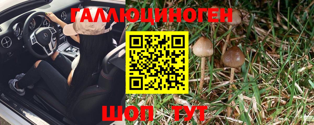 Псилоцибиновые грибы MAGIC MUSHROOMS Северск